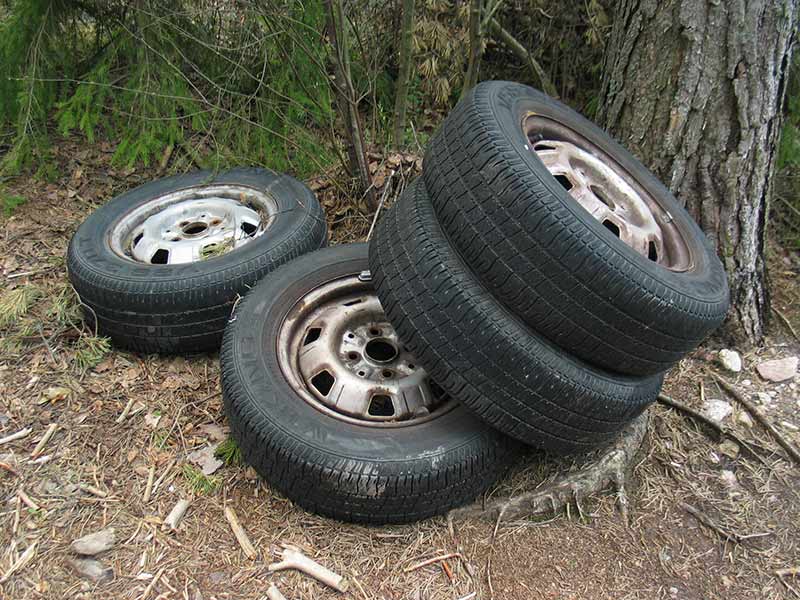 Stacked car tires and rims are leaning against a tree on a forest floor